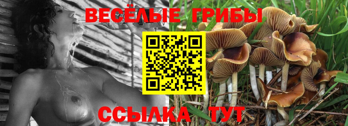 Галлюциногенные грибы Cubensis  Галлюциногенные грибы ЛСД  Уварово  Вход с VPN 